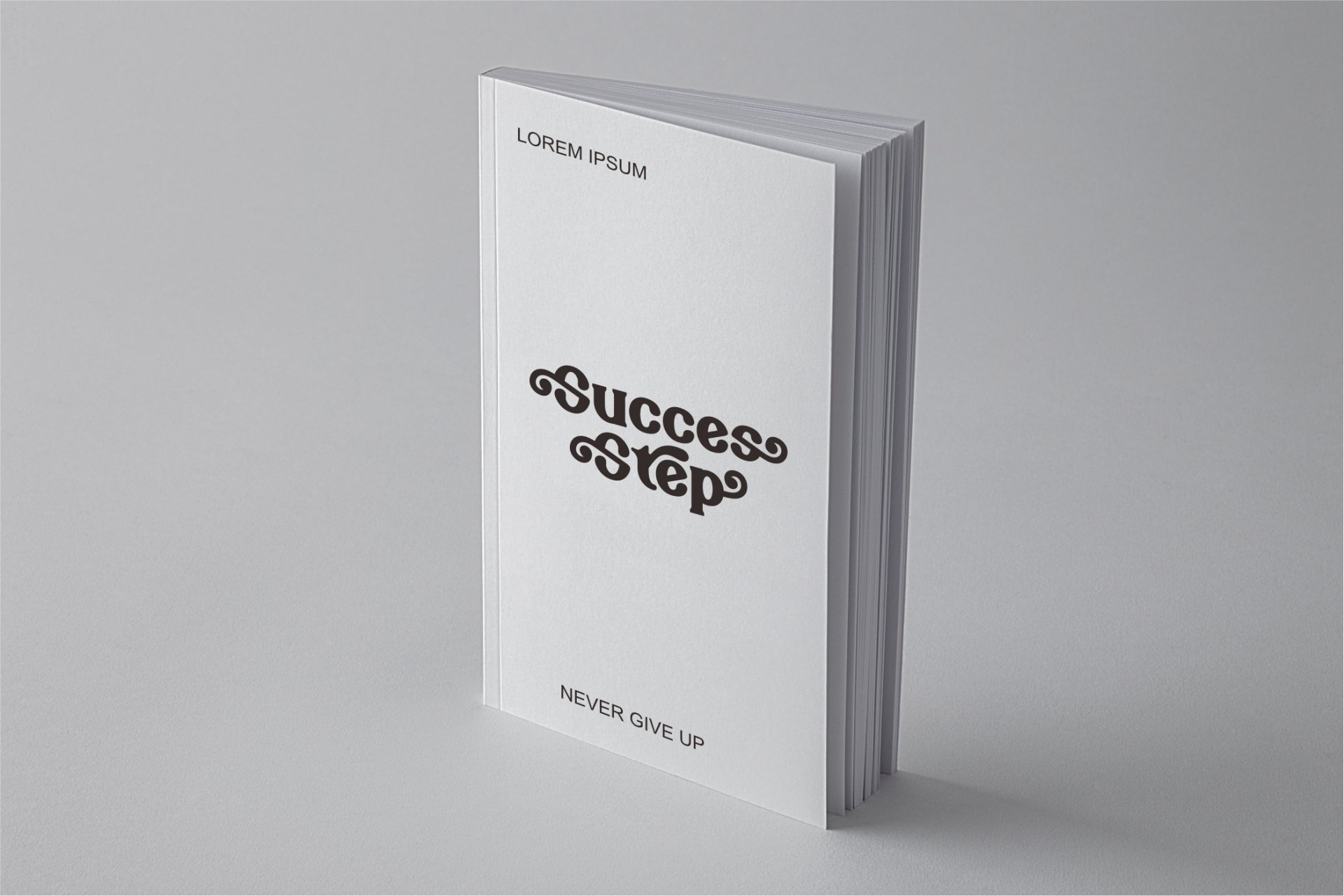 Bareno modern retro serif font