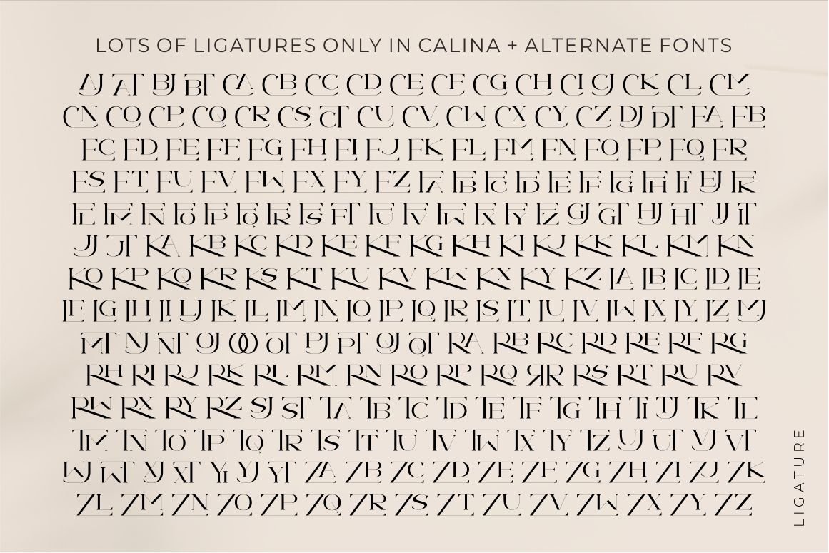 Calina serif classy font