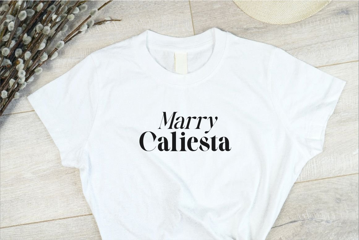 Luxinus Elegance Serif Family With Italic Font