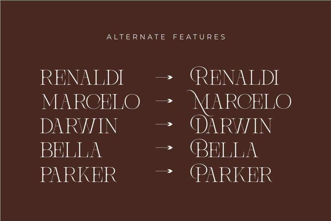 Brisca Miera - Chic Alternate Ligature Serif Font