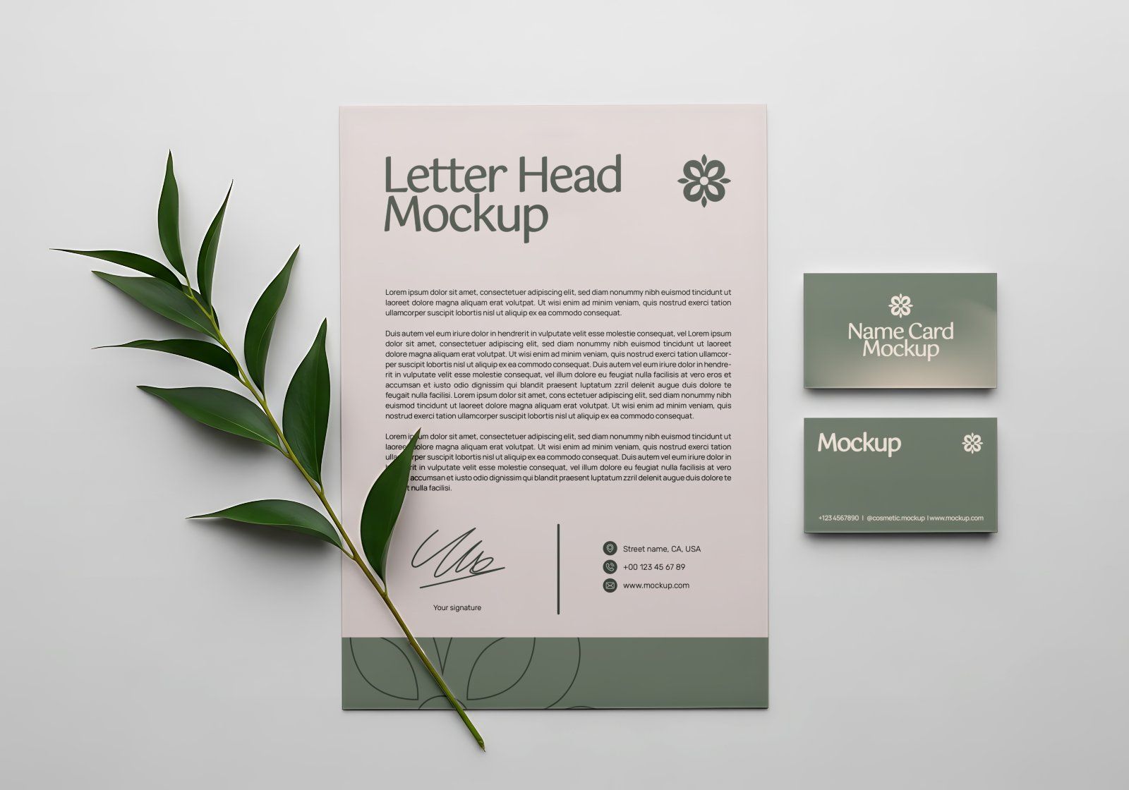 Premium Beauty Store Mockup Bundle – 15 PSD Templates for Cosmetic Branding & Skincare Packaging Des