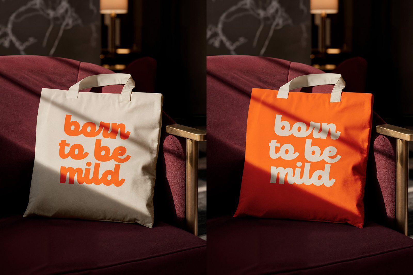 Noemia Dreams | Modern Vintage Font