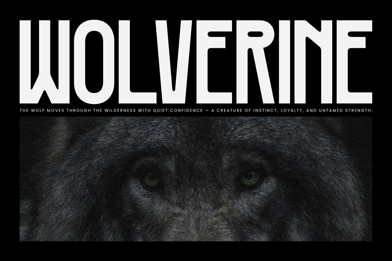 Terrano - Display Sans Serif Font