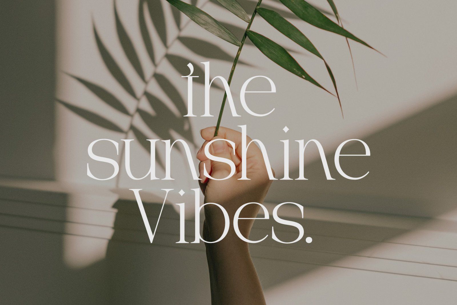 Mogerin | Modern Display Serif