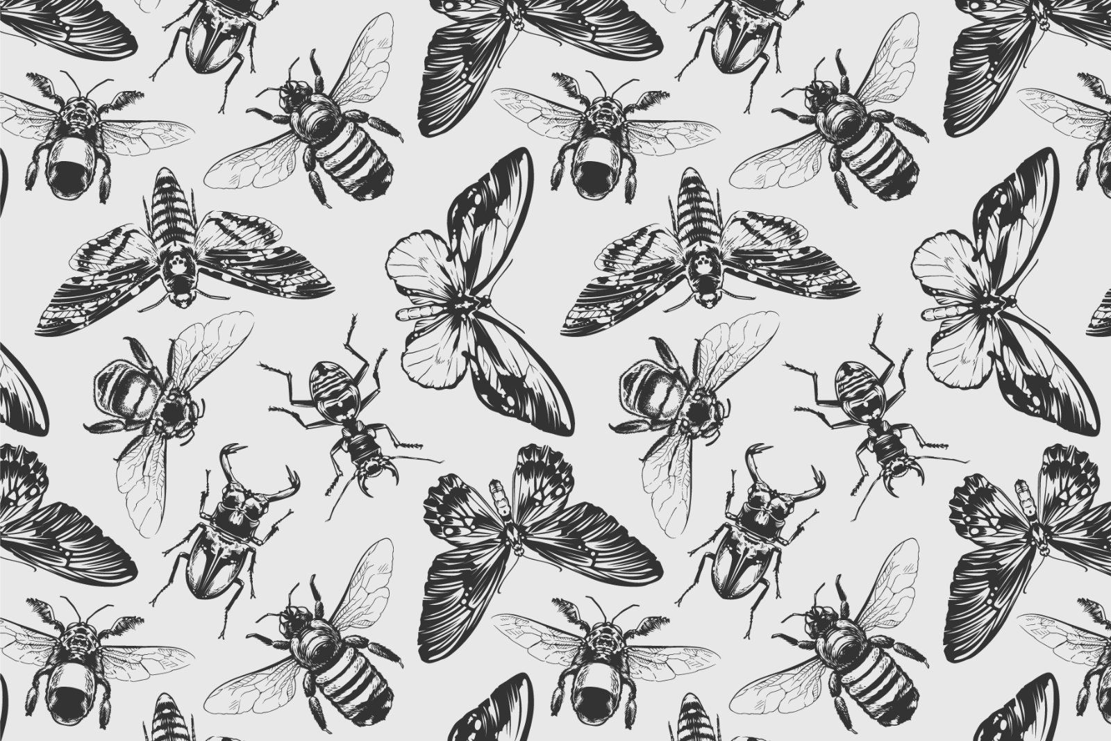 Vintage Insects Vector Set