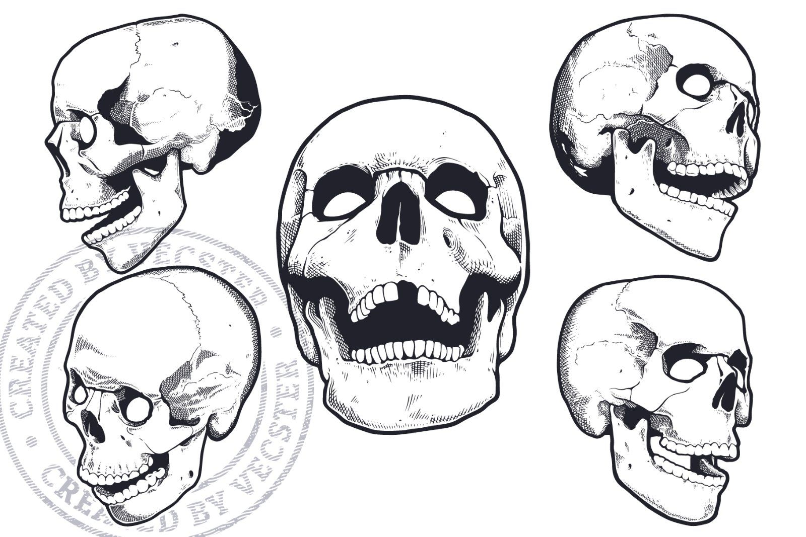 Vintage Vector Skulls Pack