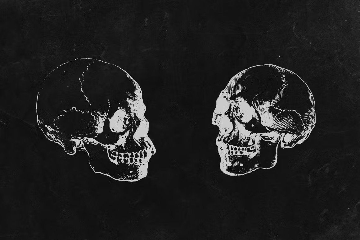 Engraved Skulls Illustrations