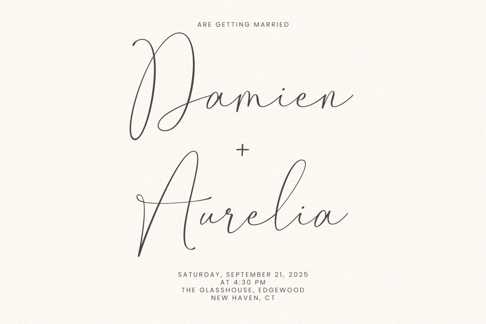 Modern Serif Font Bundle