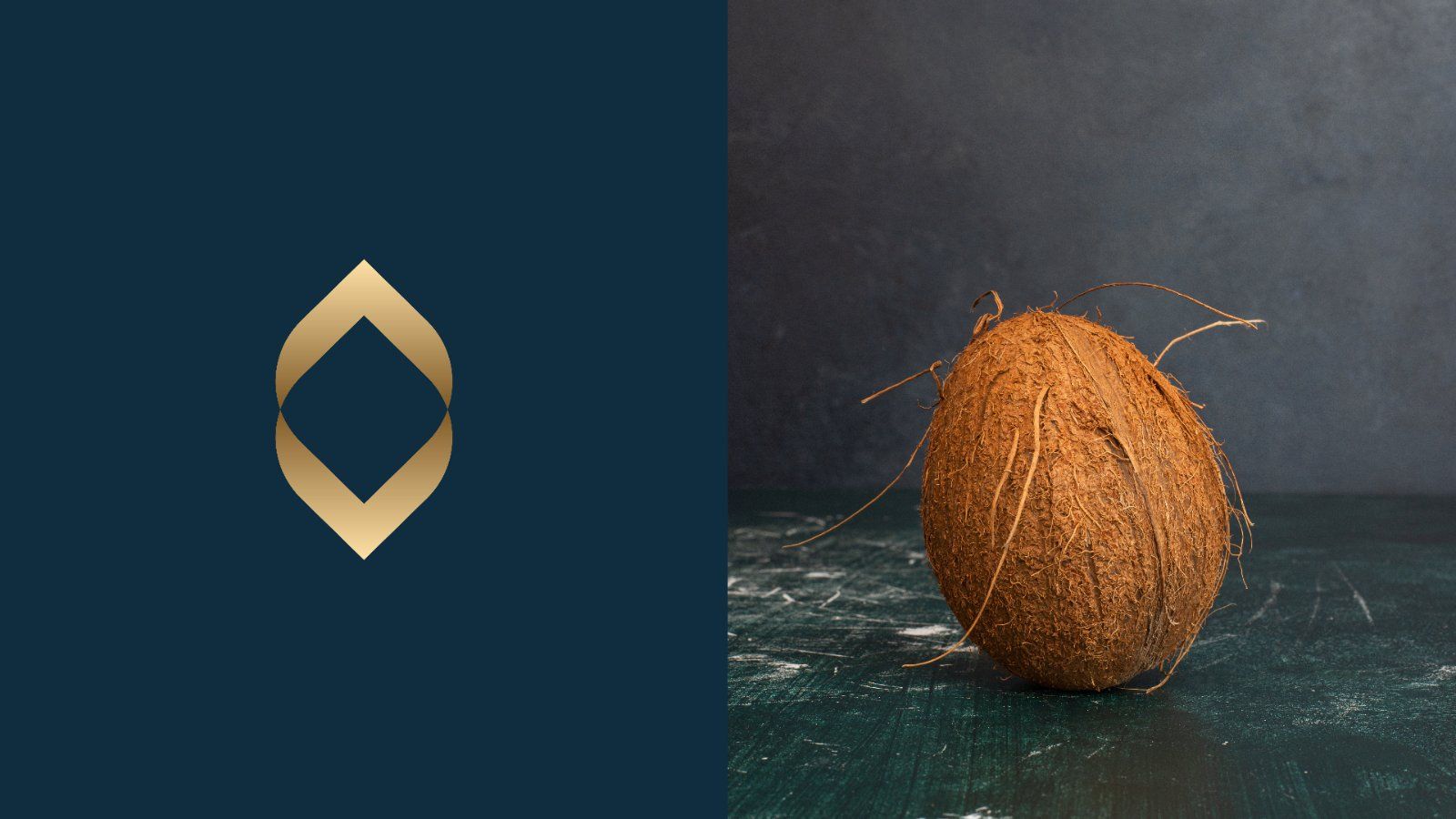 Logo and guideline set for construction company