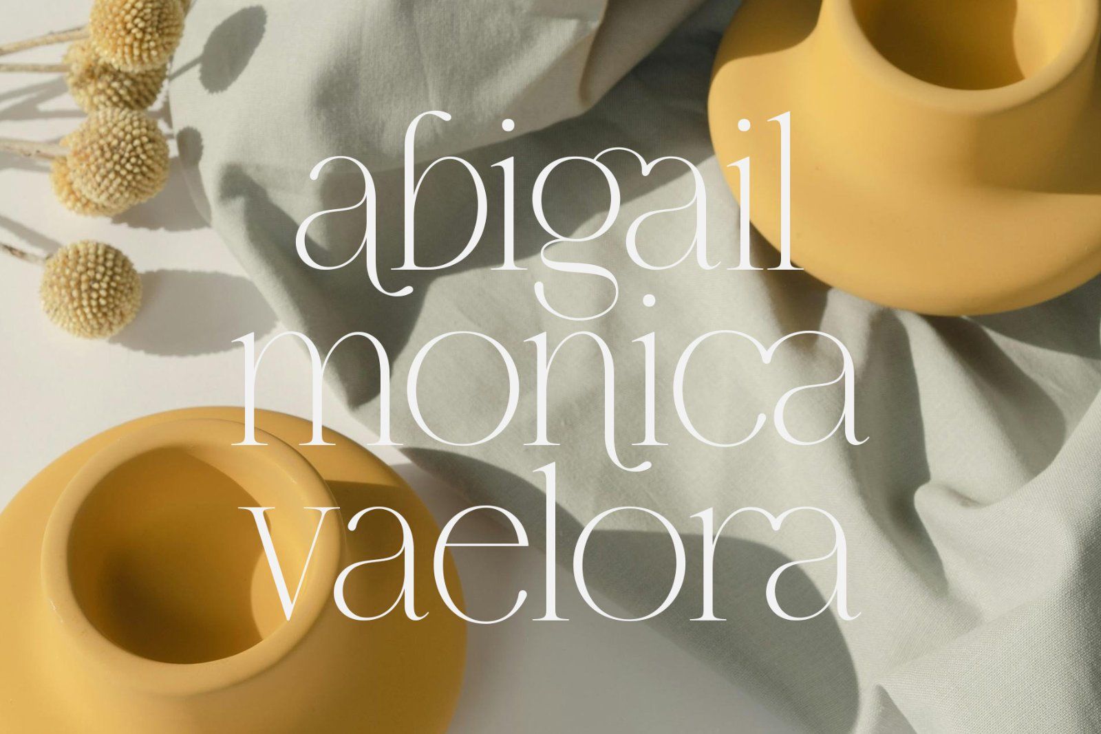 Brumer | Modern Elegant Serif