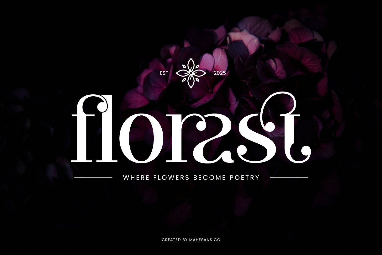 Clarita | Modern Unique Serif