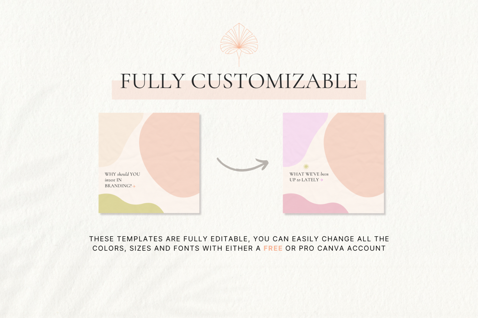 Social Media Canva Templates Bundle