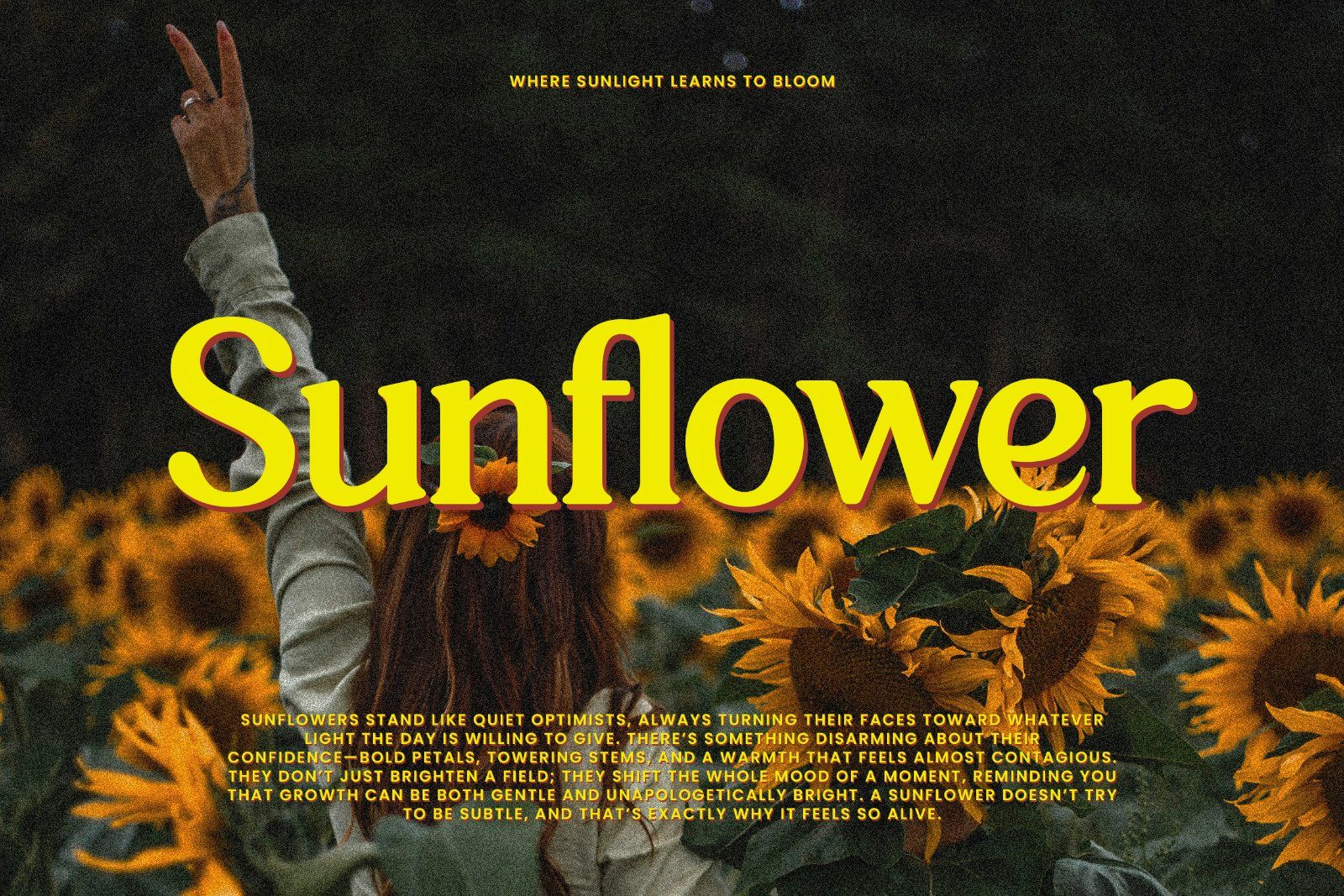 Wen Romun – Nostalgic Display Serif