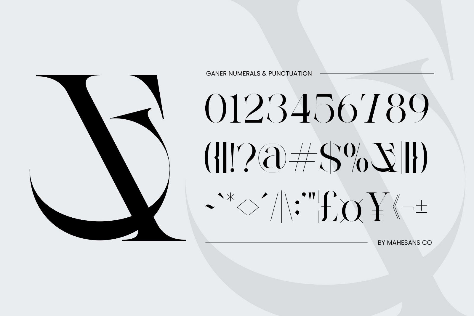 Ganer | Serif Display Font