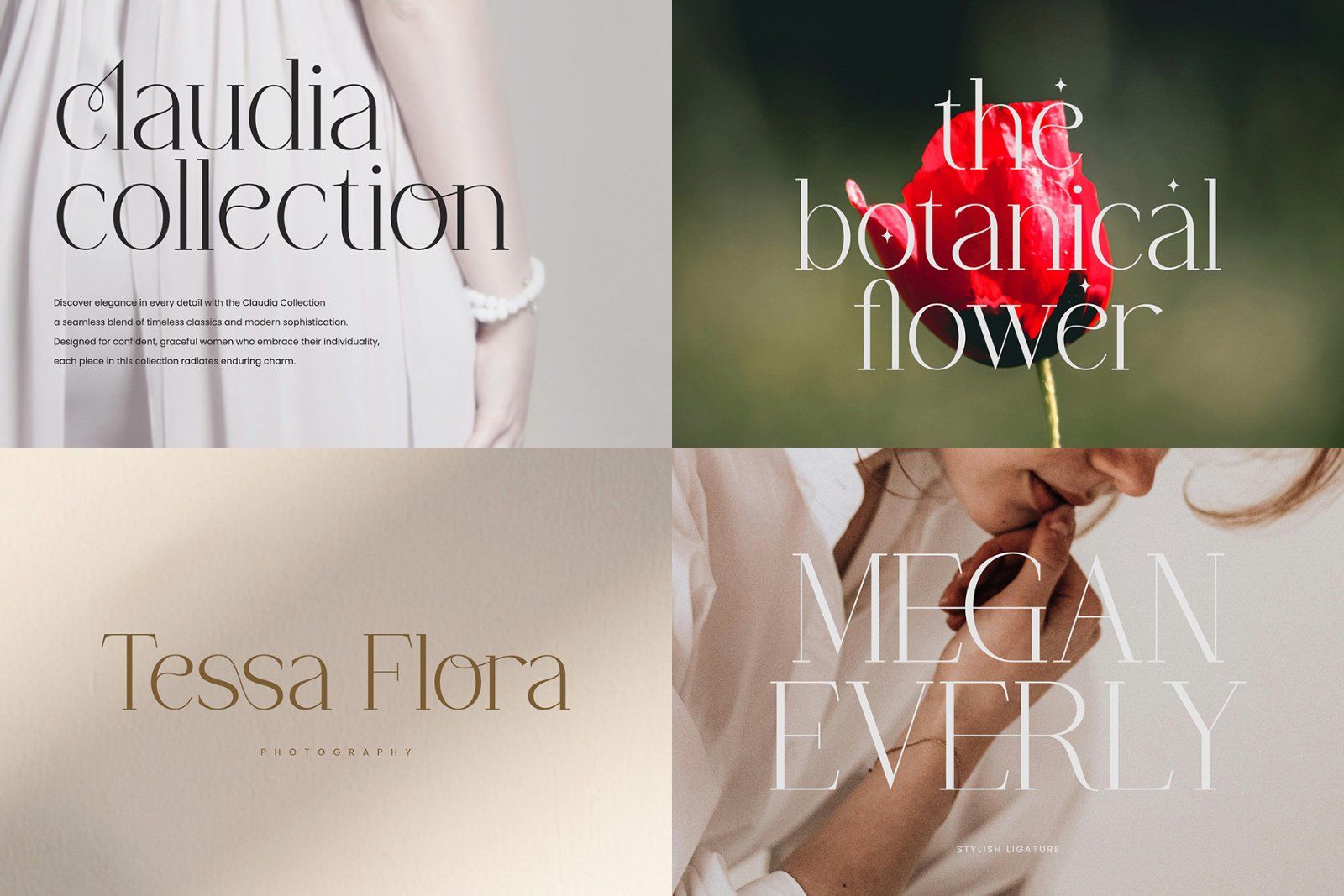 Modern Serif Font Bundle