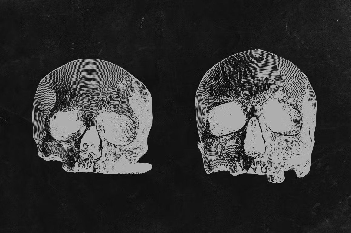 Engraved Skulls Illustrations