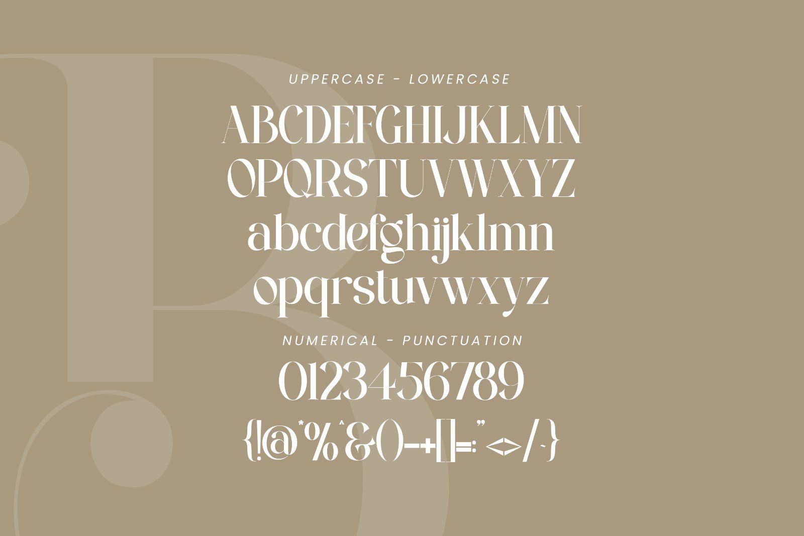 Bilgist | Modern Serif Display Font