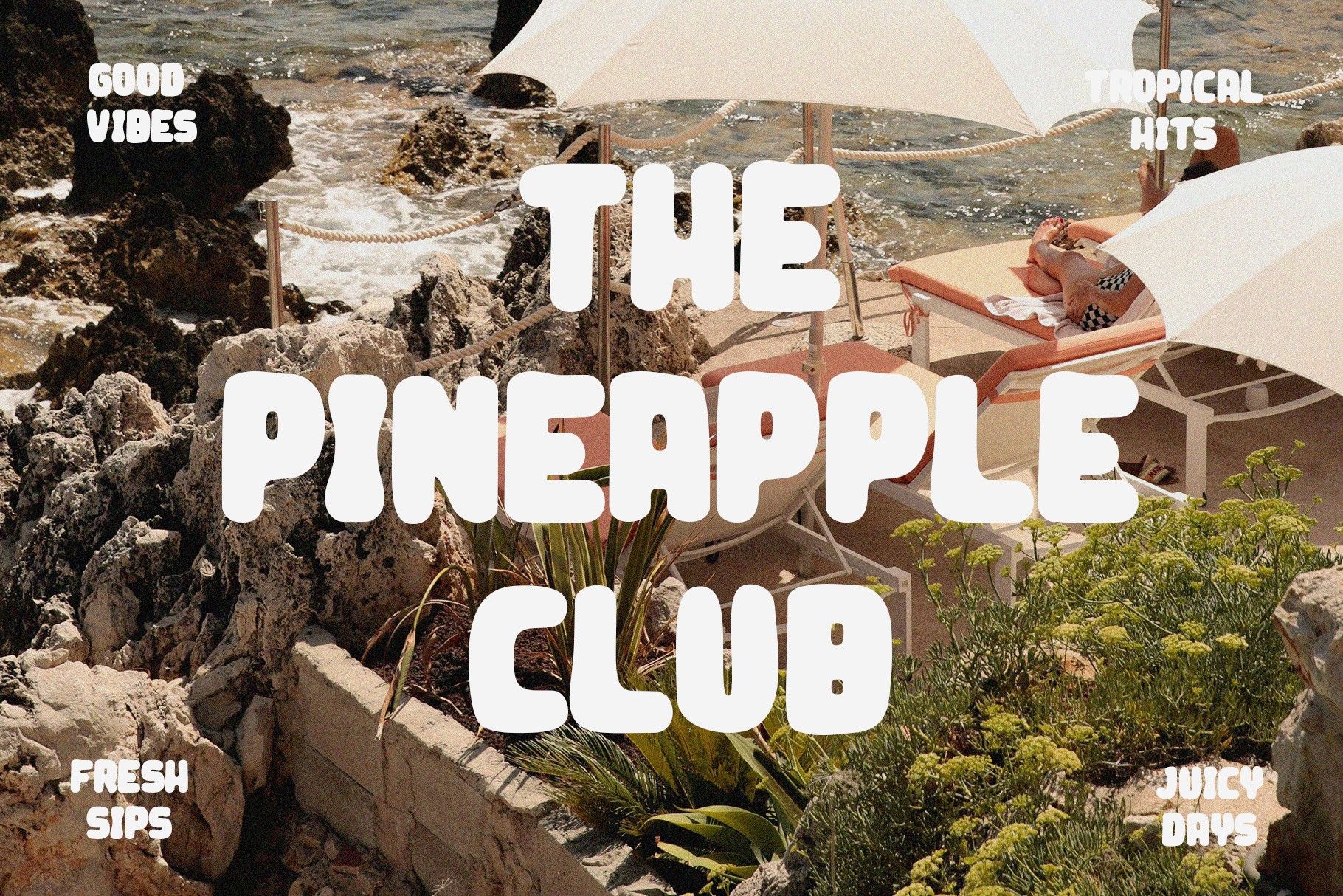 Velmonte | Bold Tropical Typeface