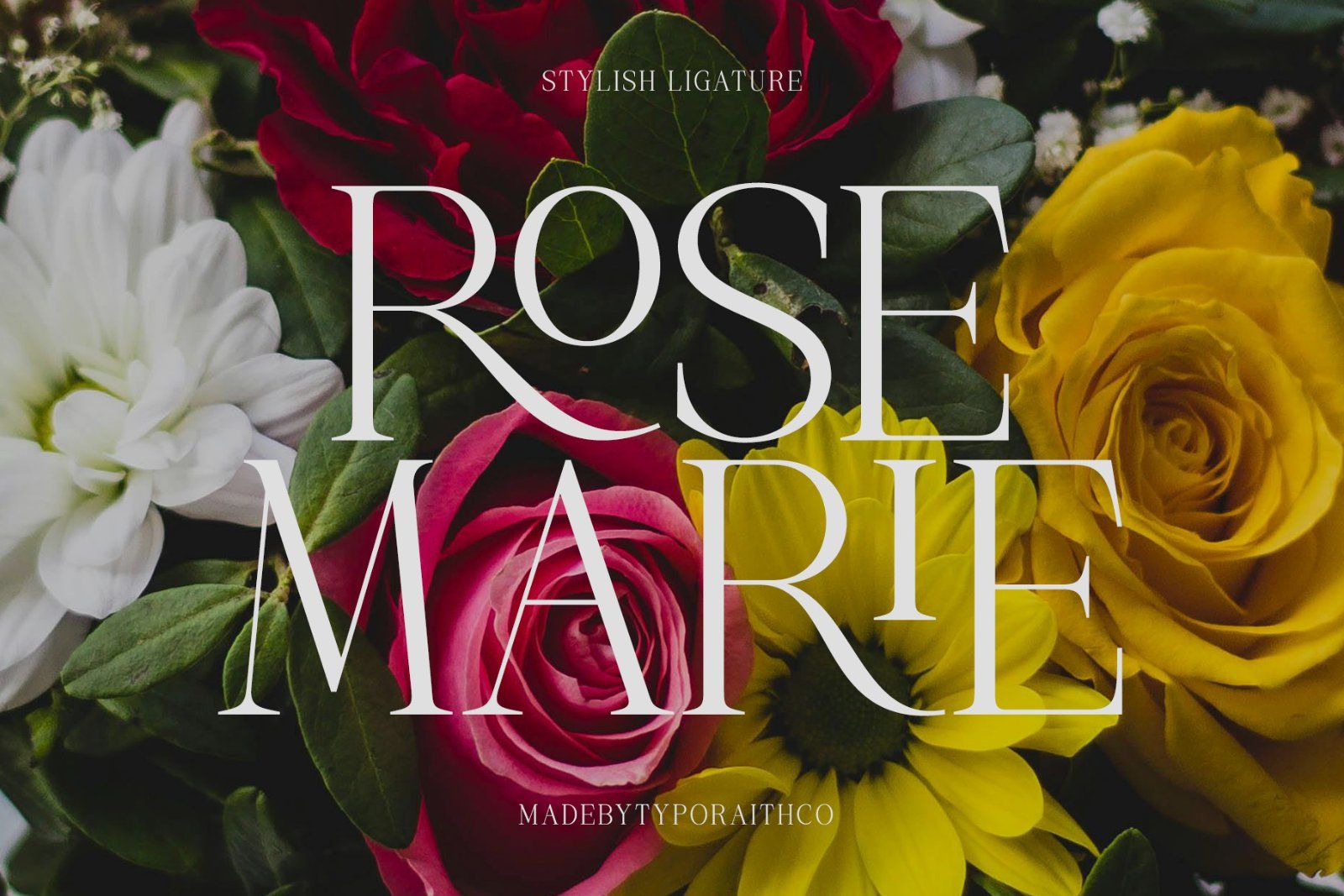 Mogerin | Modern Display Serif