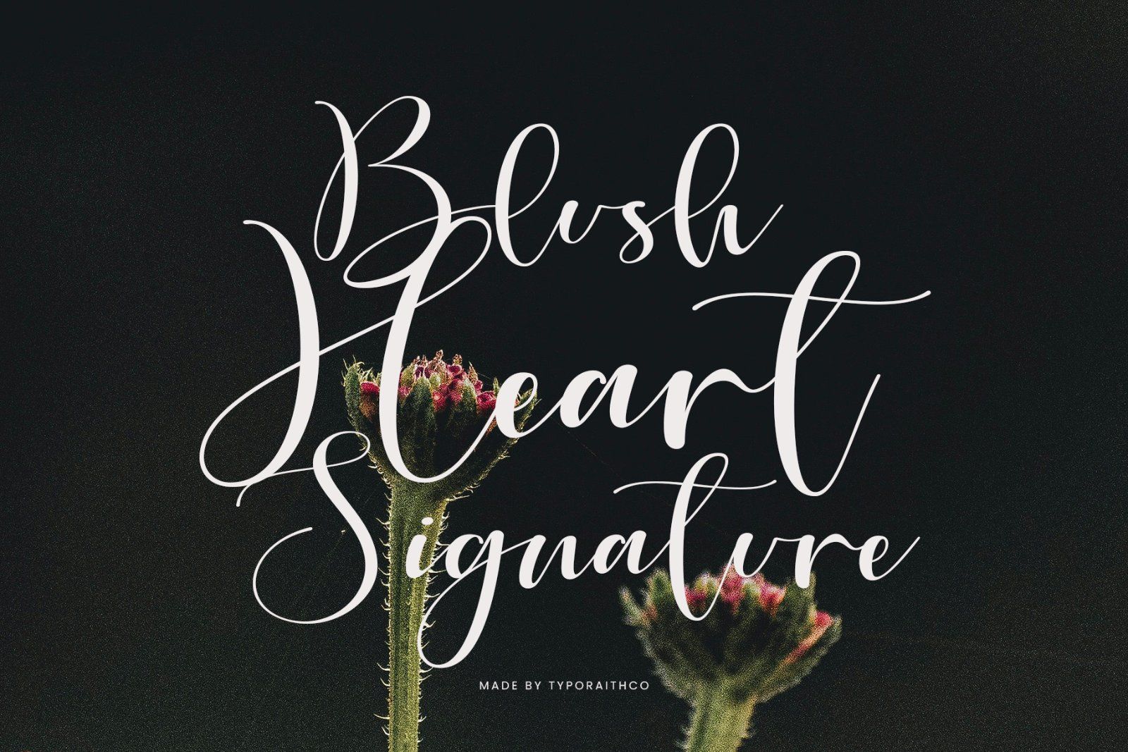 Cartney | Elegant Handwritten Script Font