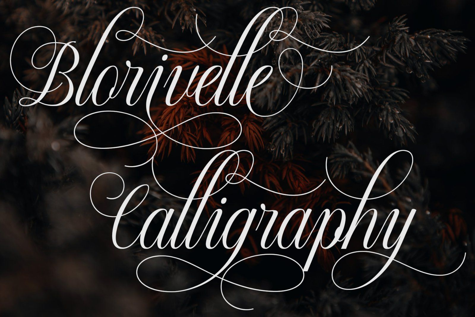 Blorivelle | Elegant Calligraphy Script