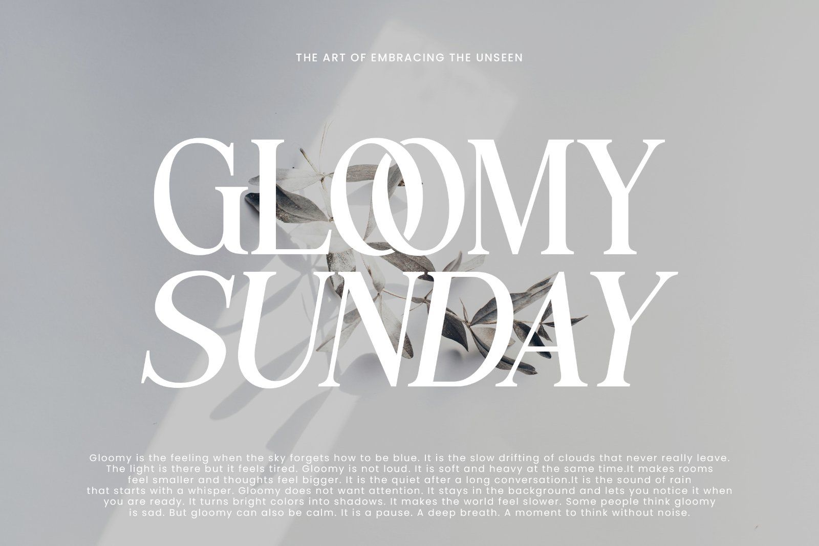 Modern Serif Fonts Bundle Collection