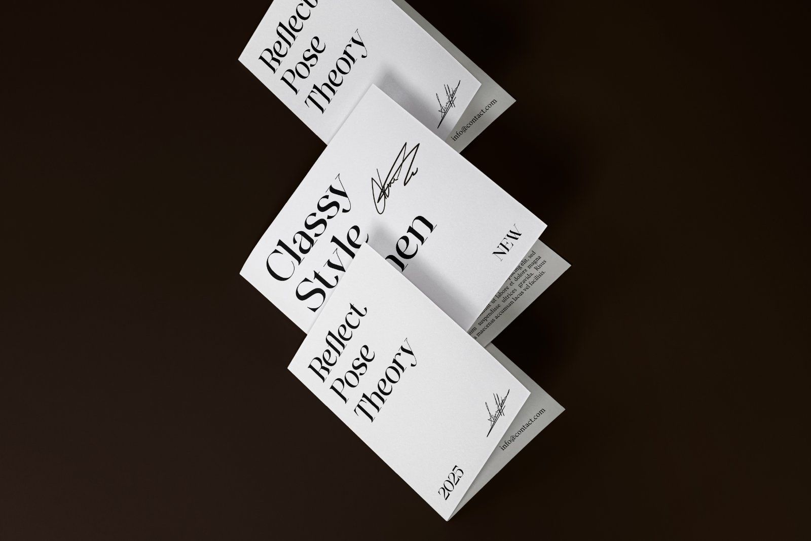 Ginka Voraxe – Modern Stylish Serif