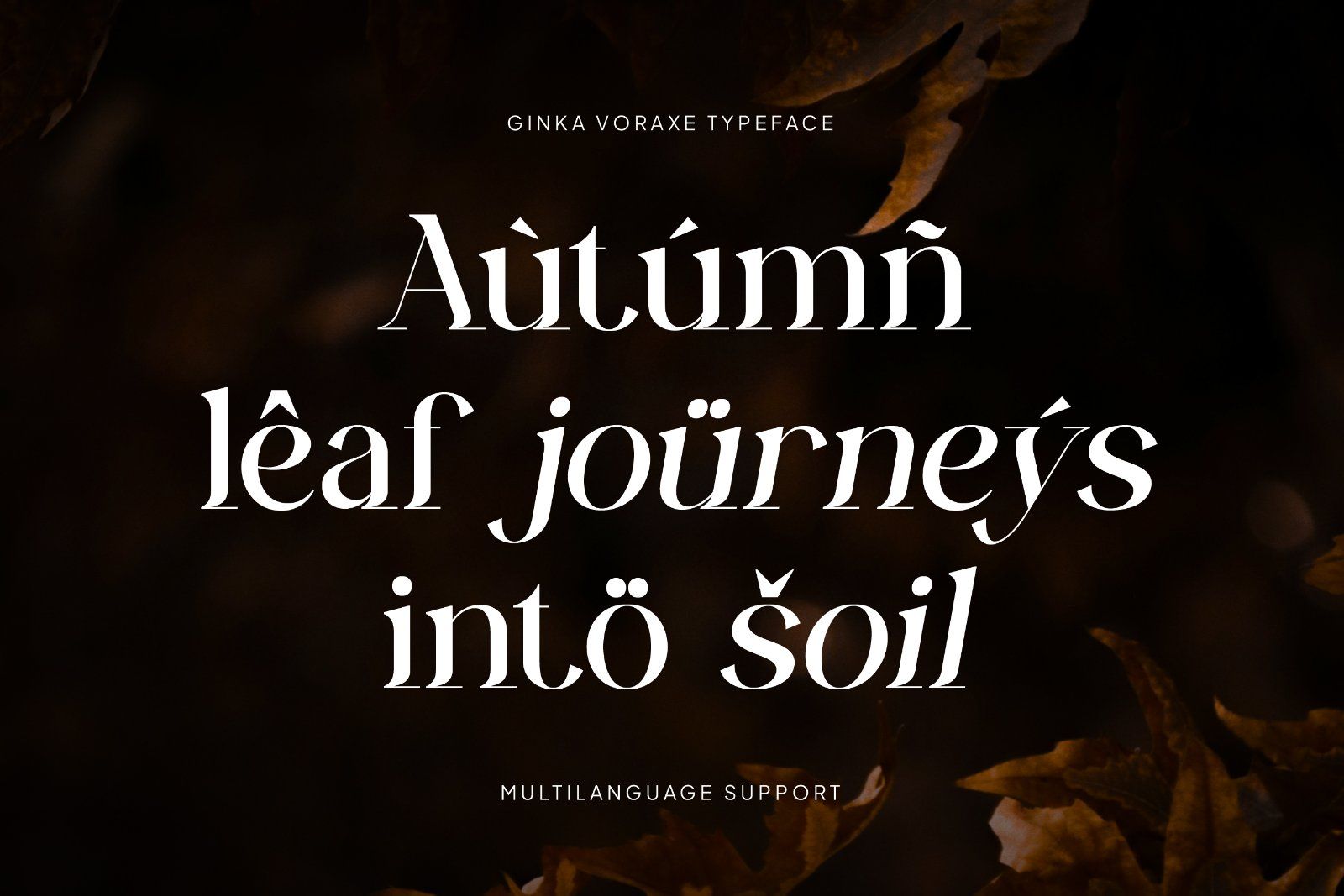 Ginka Voraxe – Modern Stylish Serif