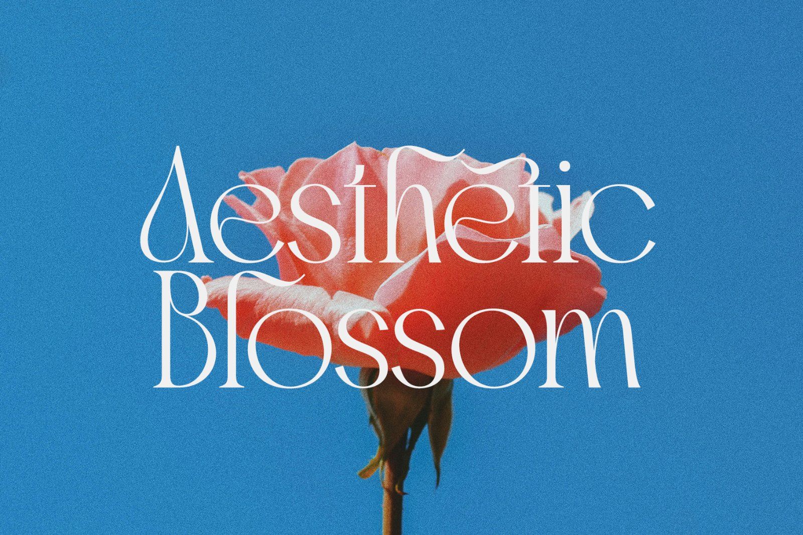 Brune Magery | Modern Elegant Serif