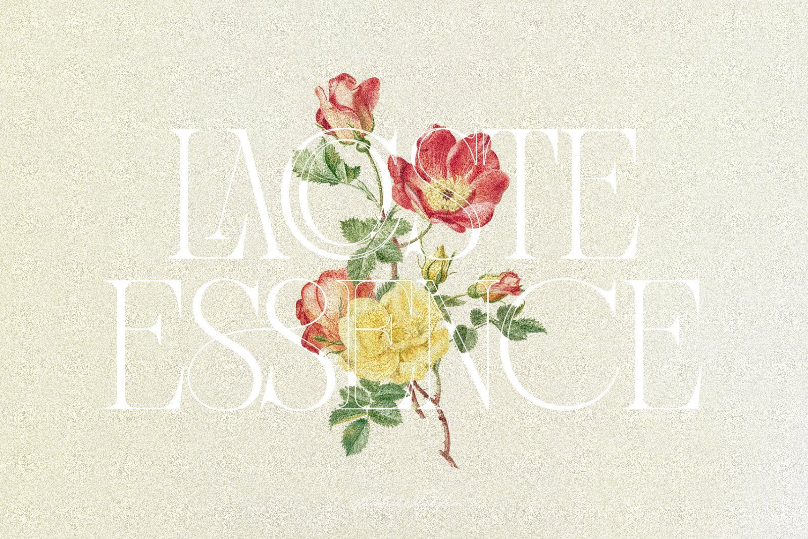 Sherlock – Elegant Classic Serif