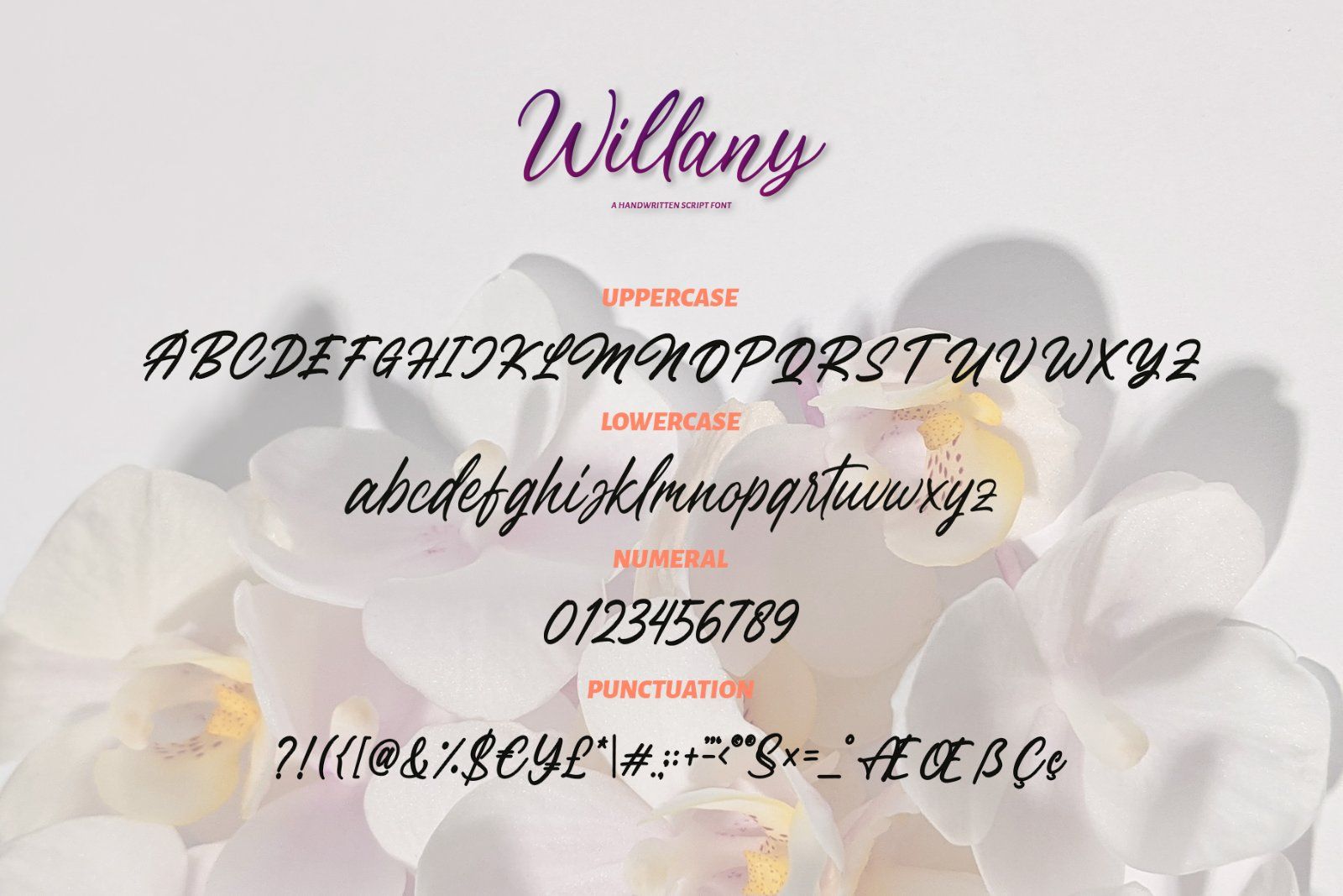 Willany - Handwritten Font