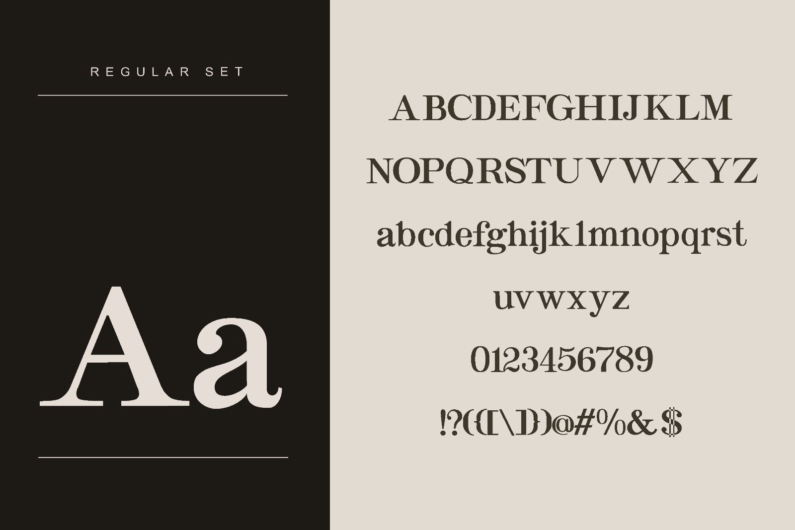 Norveil - Font Duo (Serif and Script)