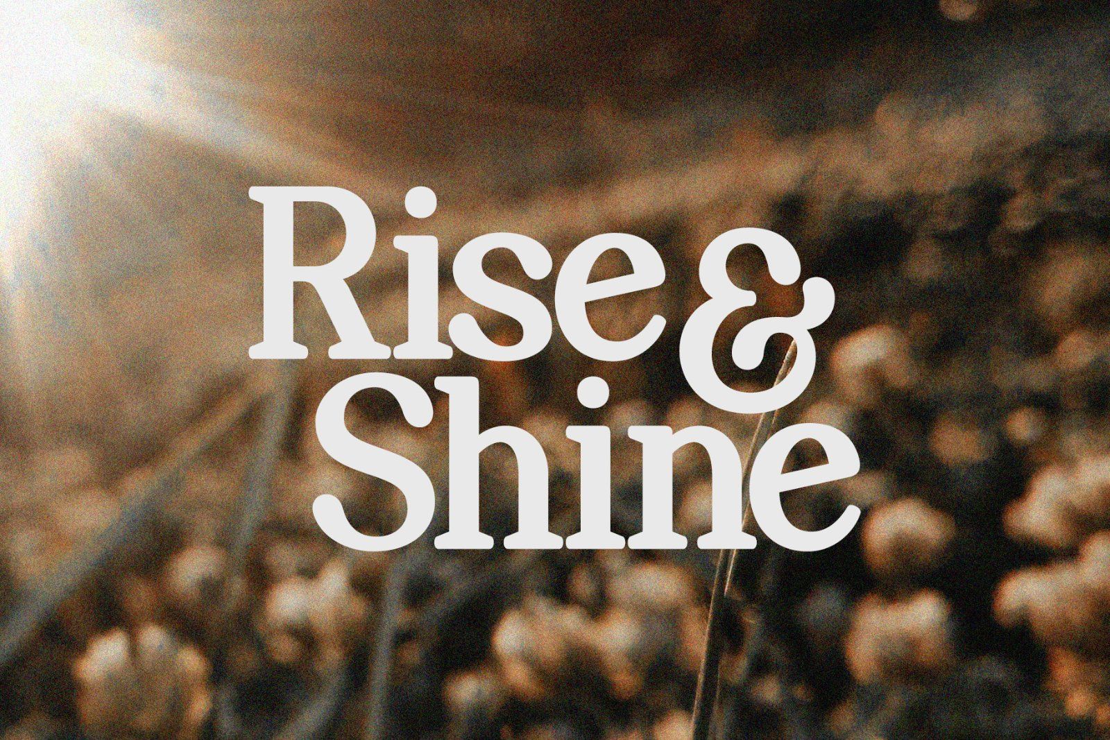 Perfect Mangue | Serif Duo Font