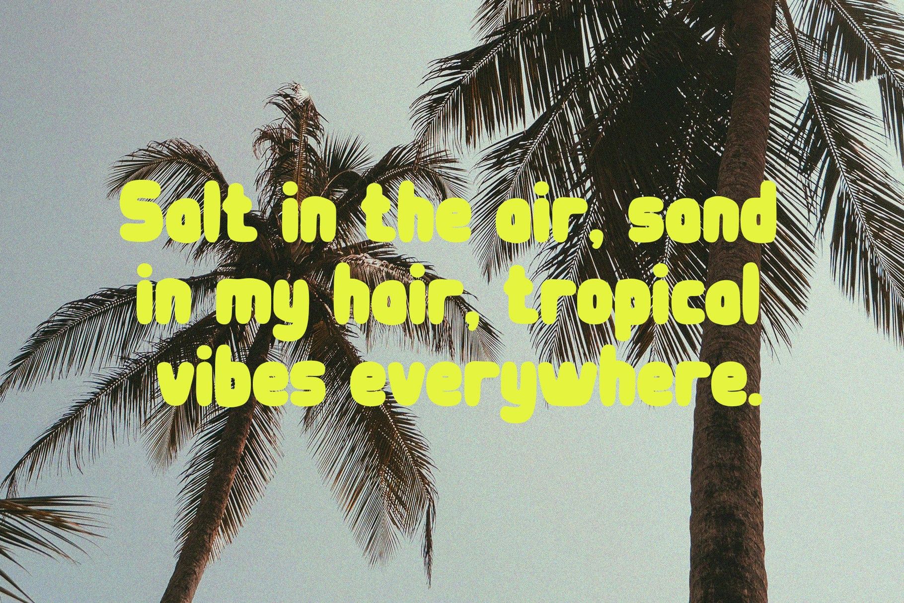 Velmonte | Bold Tropical Typeface