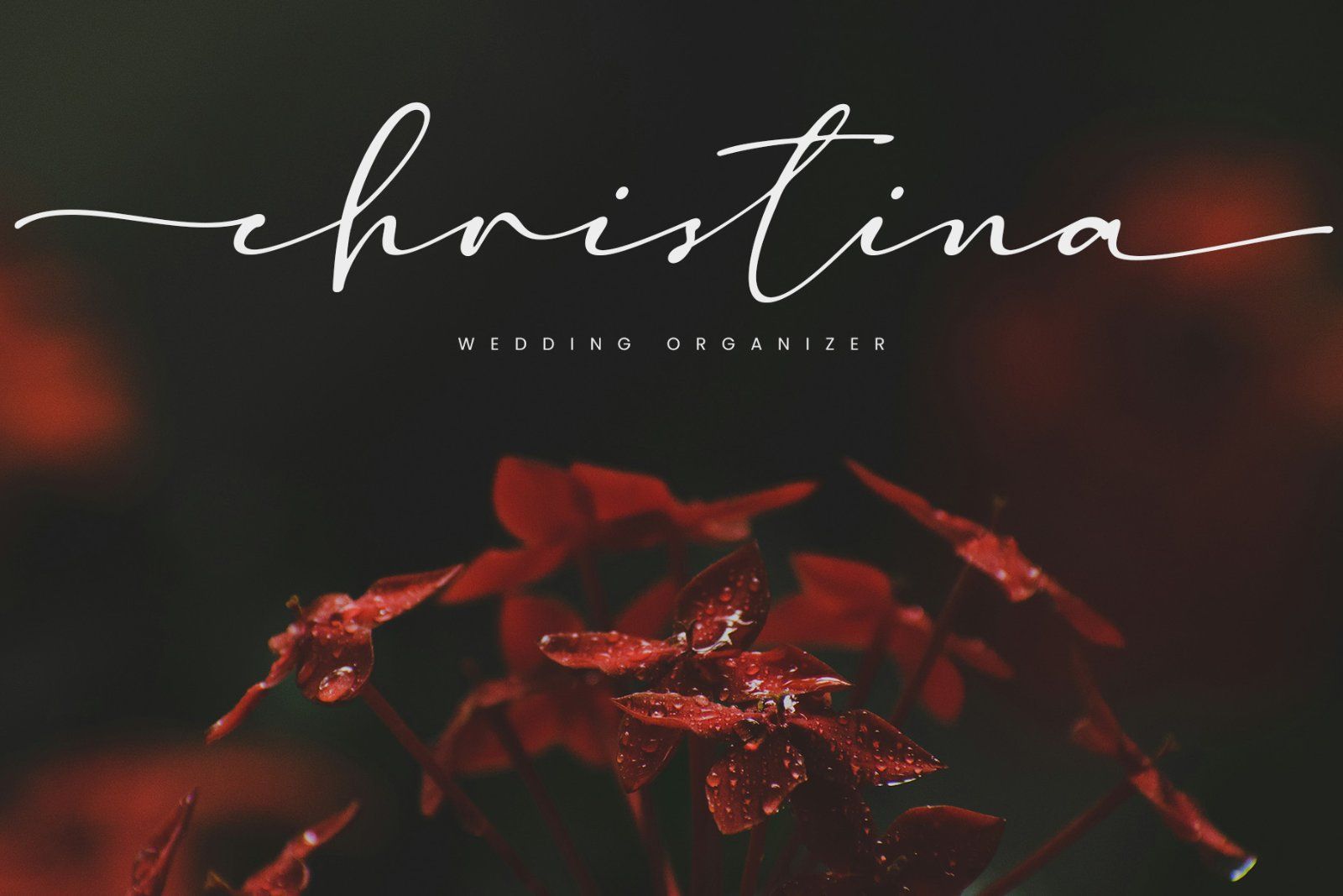 Madelisse | Elegant Signature Font