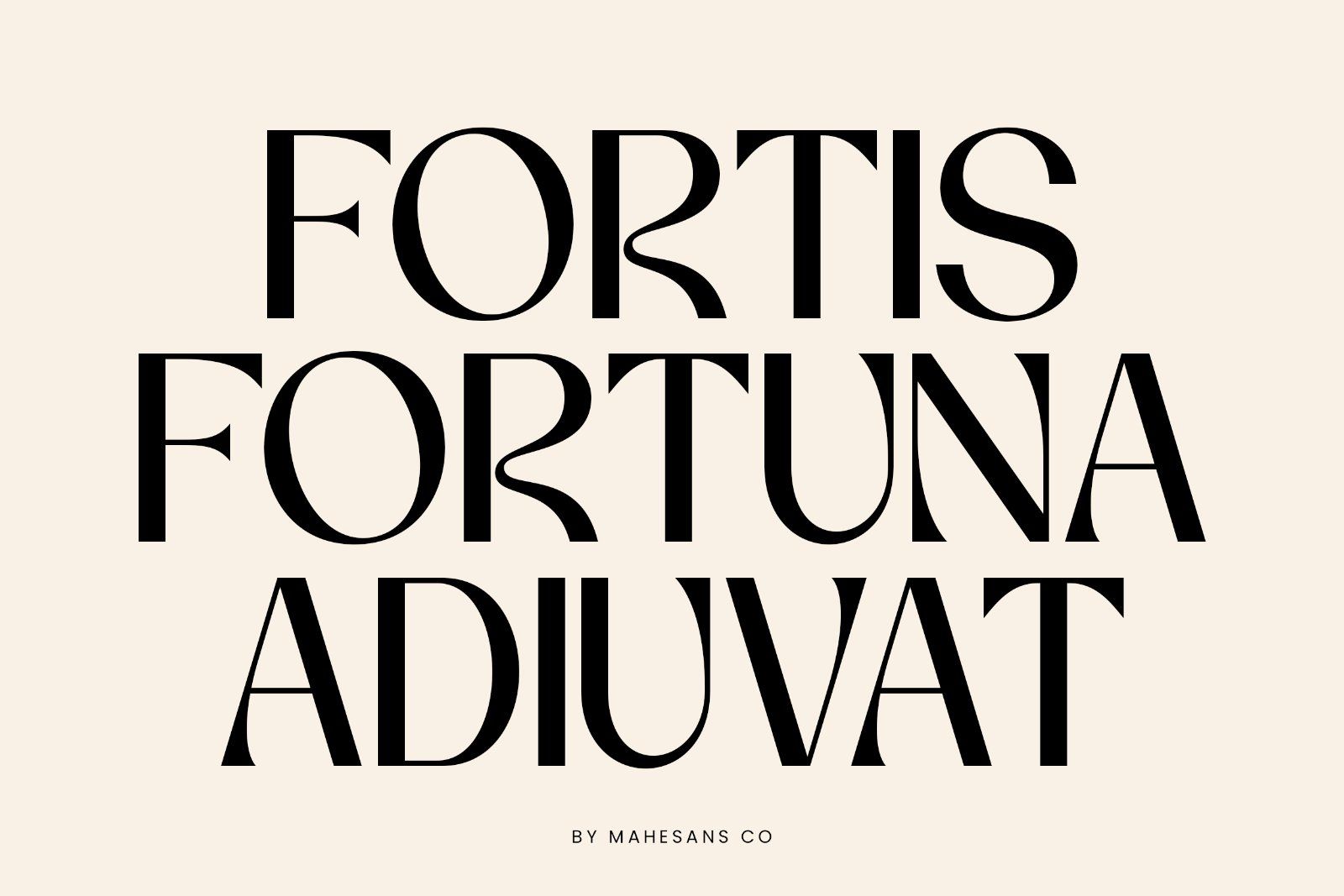 Modern Serif Fonts Bundle Collection