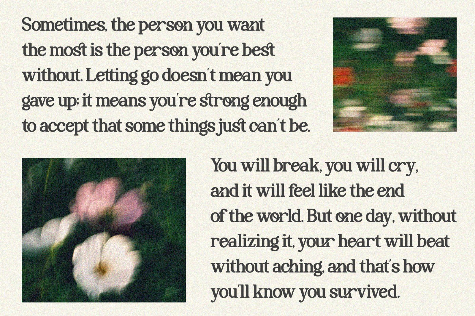 Perfect Mangue | Serif Duo Font