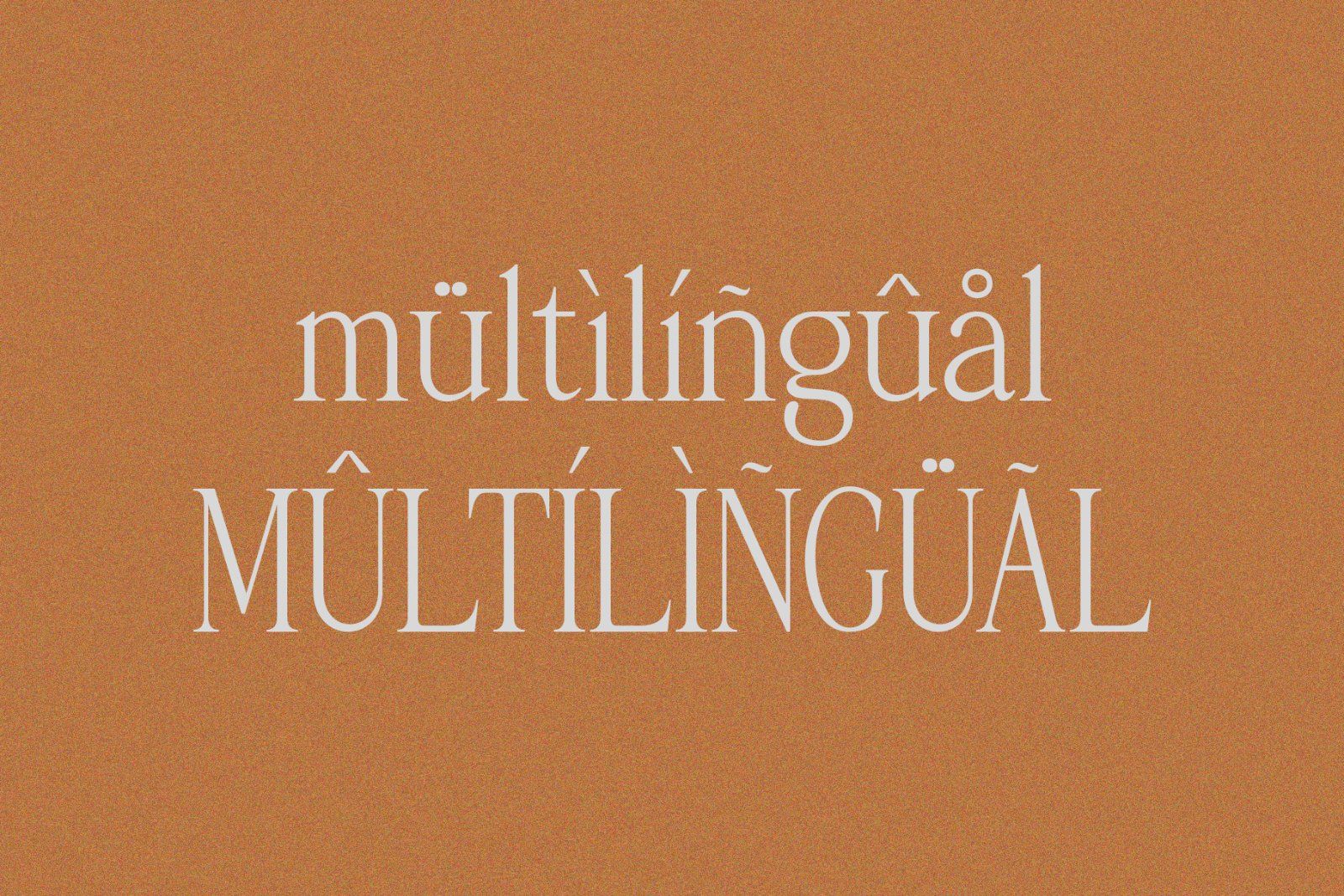 Palmorine | A Modern Serif Typeface