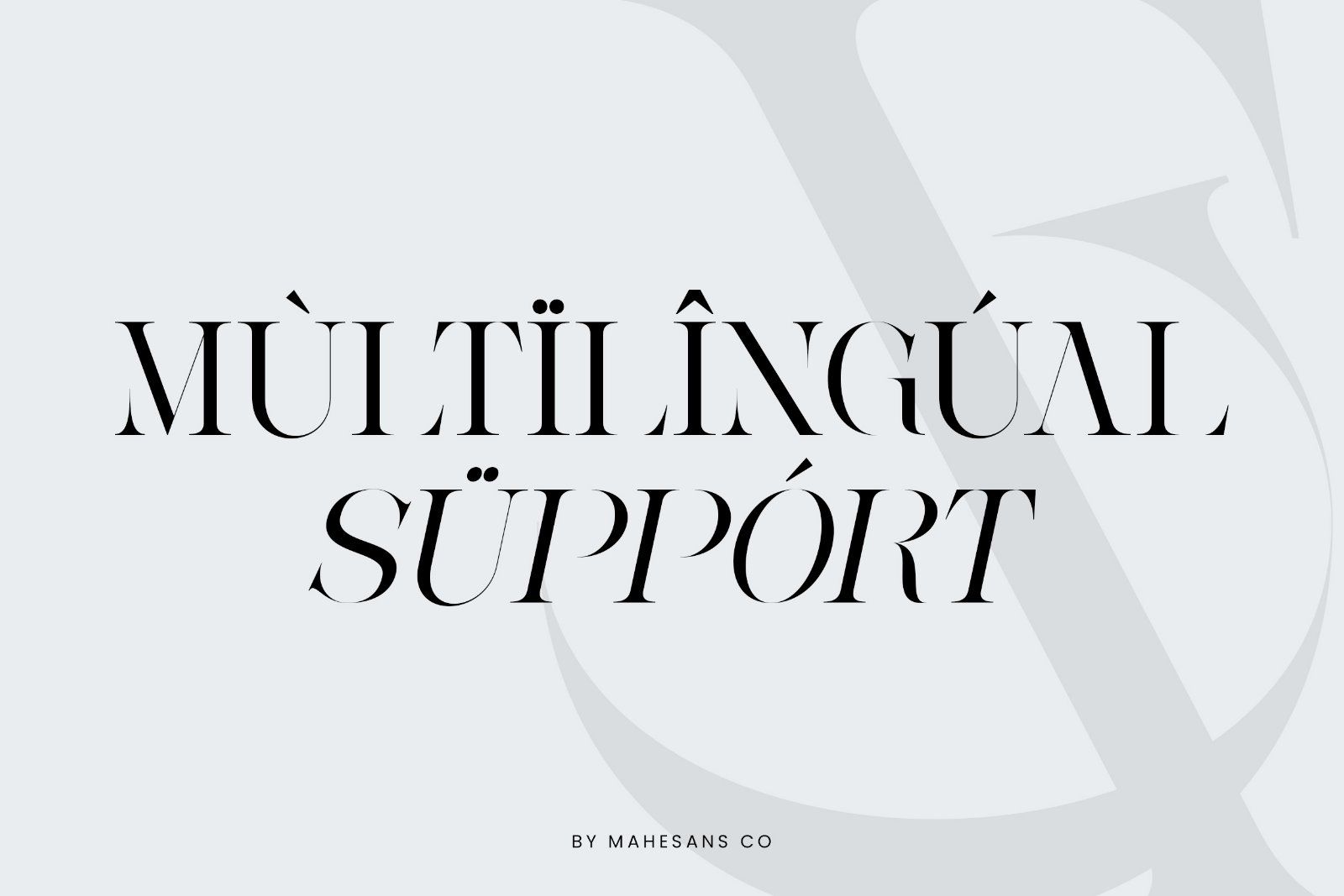 Ganer | Serif Display Font
