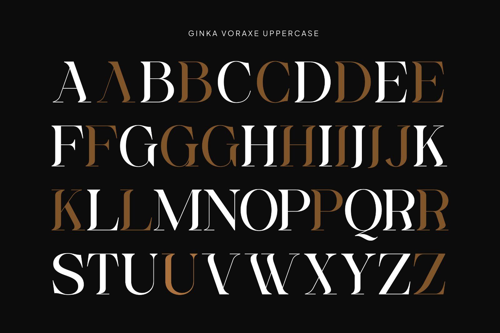 Ginka Voraxe – Modern Stylish Serif