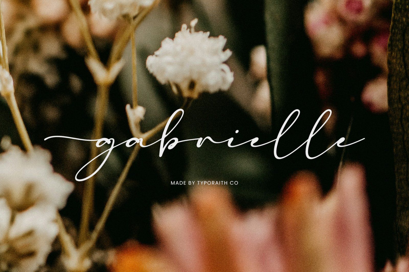Madelisse | Elegant Signature Font