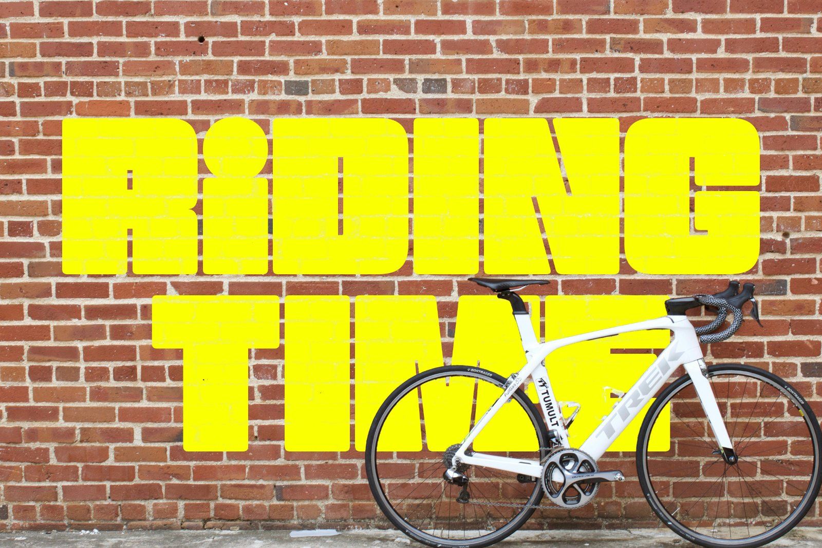 Savior - 2 Styles Bold Sans Serif