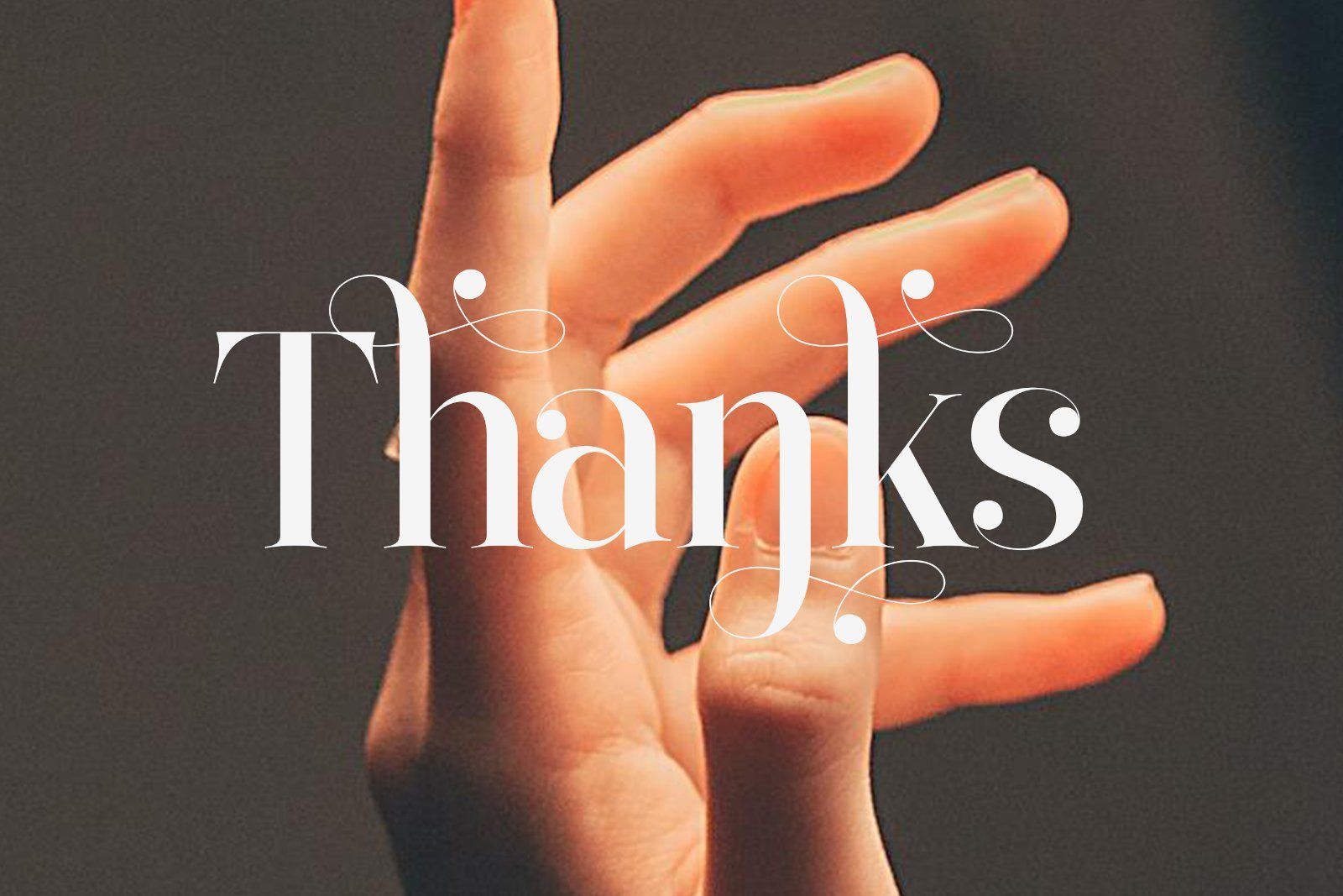 Bilgist | Modern Serif Display Font