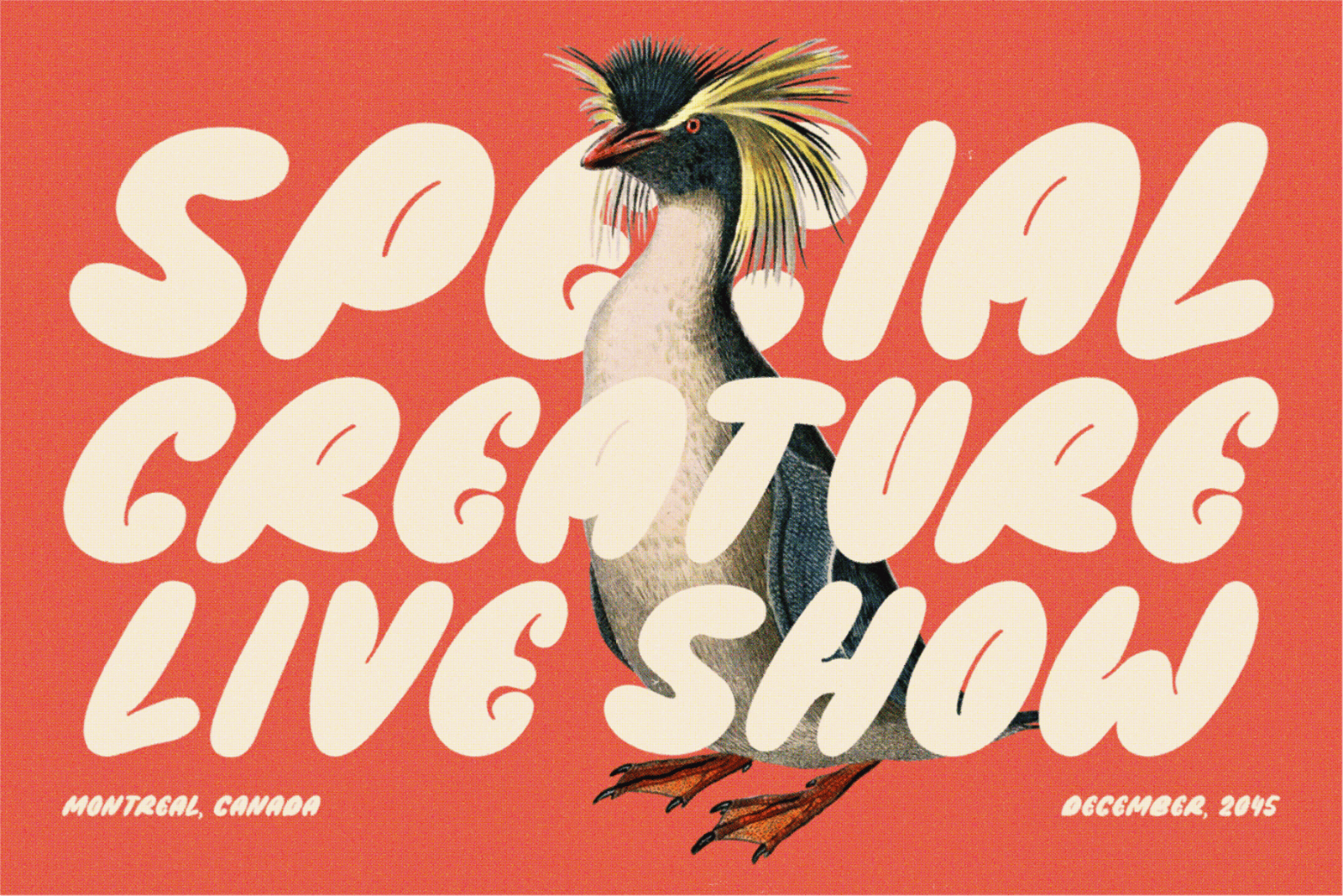 Abromies - Bold Fat Bubble Logo Branding Font