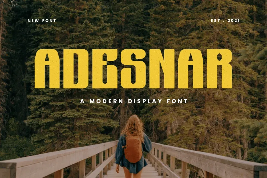 Adesnar display font free download
