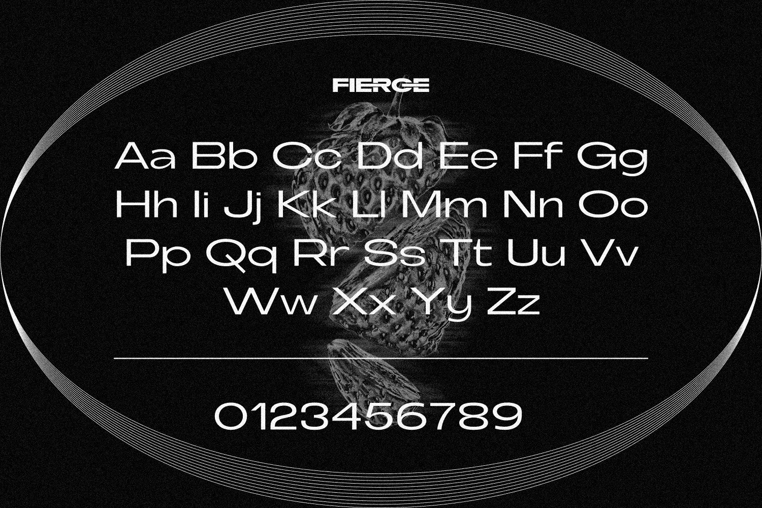 Fierce Family Font