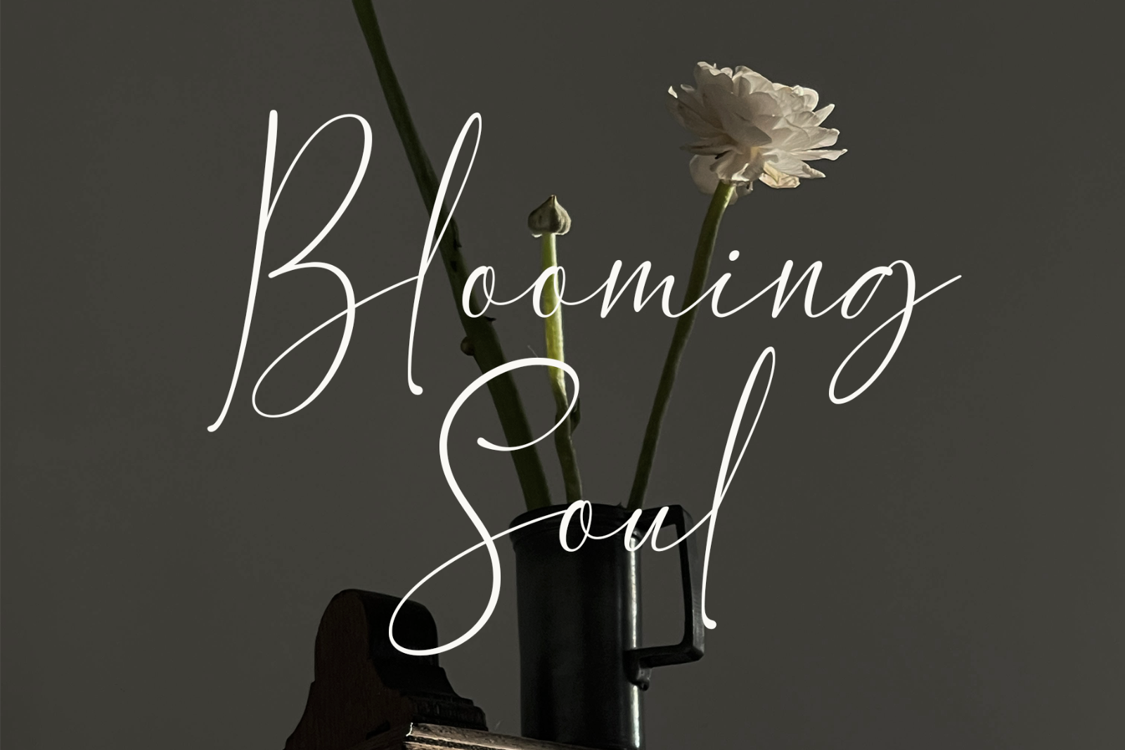 Faith Claire | Signature Script Font