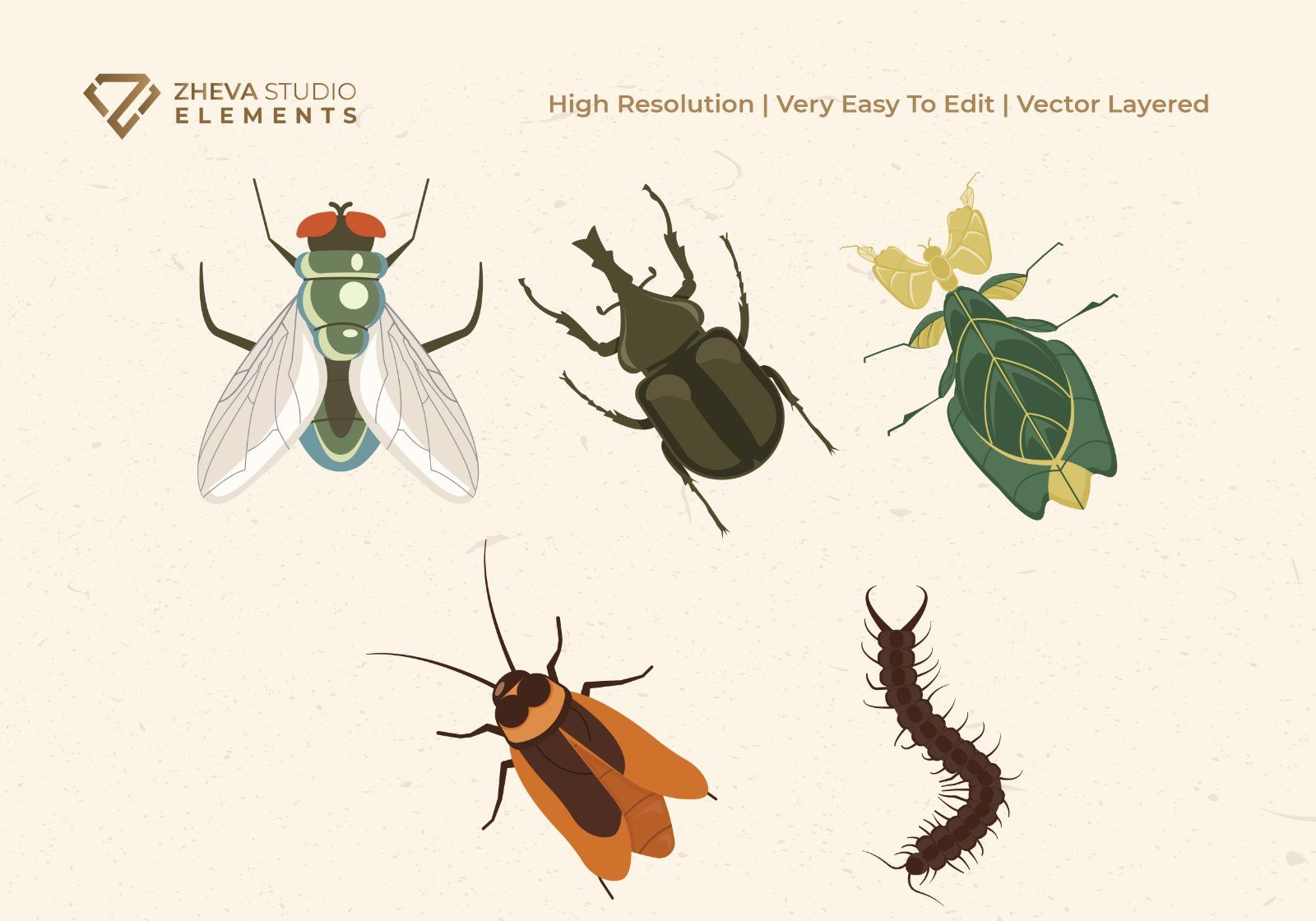 Premium Animal Insects Vector Illustration – 10 EPS & PNG Files