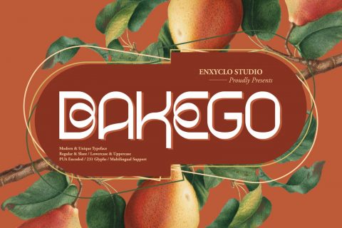 BAKEGO — Unique & Modern Typeface