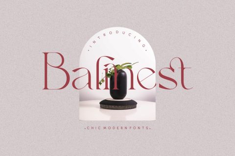 Balinest _ chic modern font